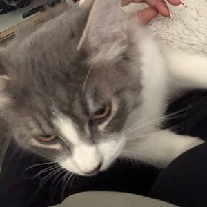 Meet your Posher, Jasmin